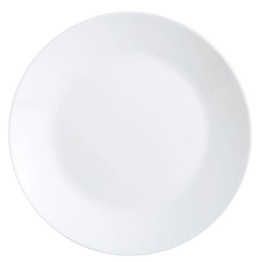 Dinner plate