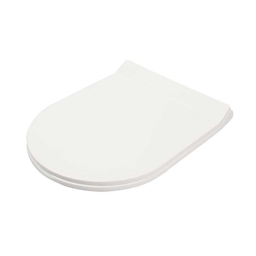 Toilet seat