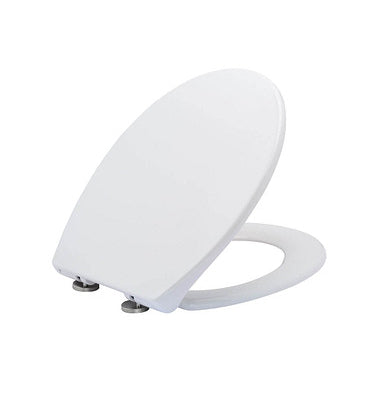 Toilet lid