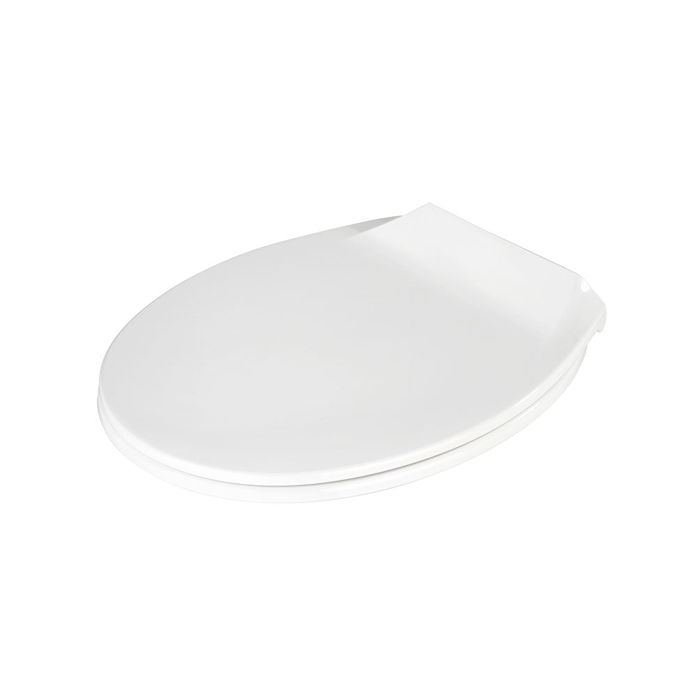 Toilet lid