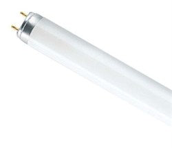 Fluorescent tube