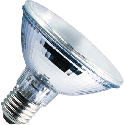 Halogen lamp