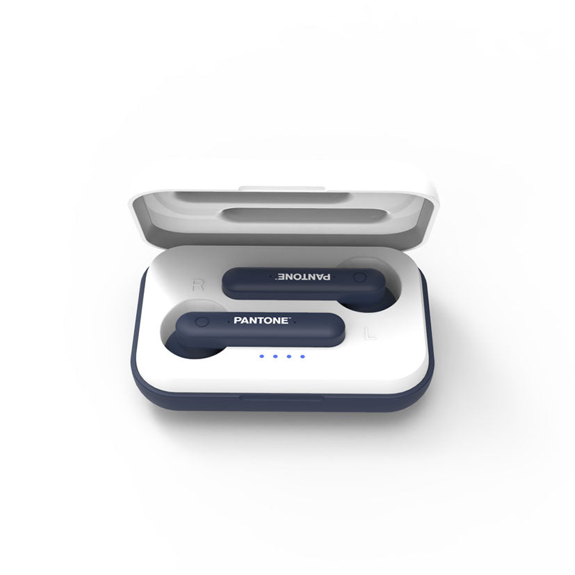True wireless earbuds