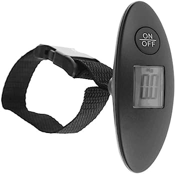 Portable scale