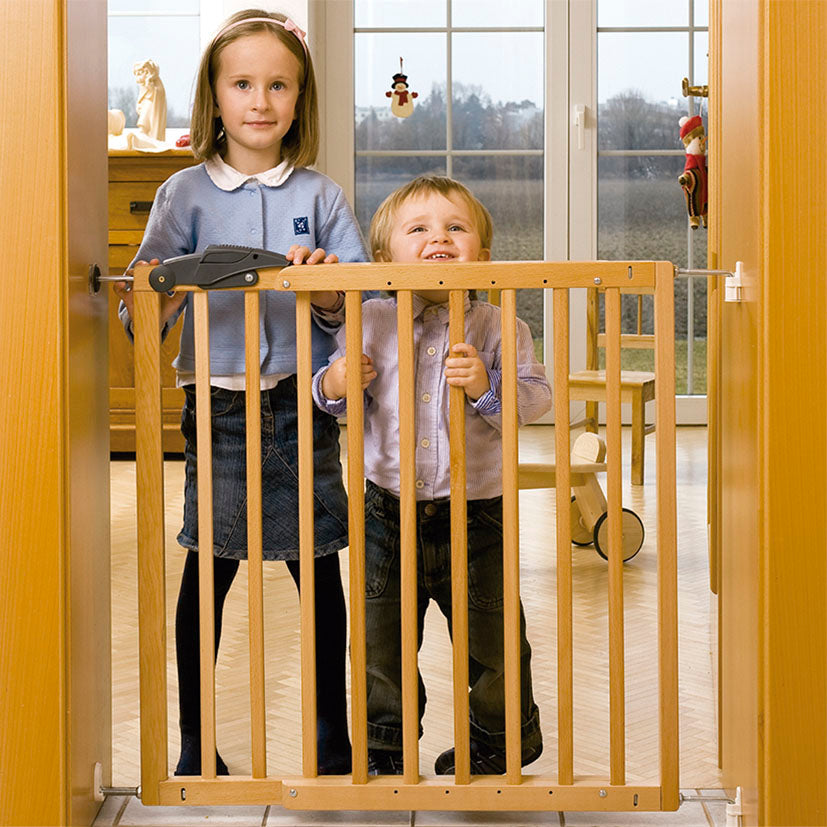 Security fence