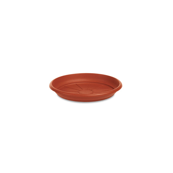 Plato maceta