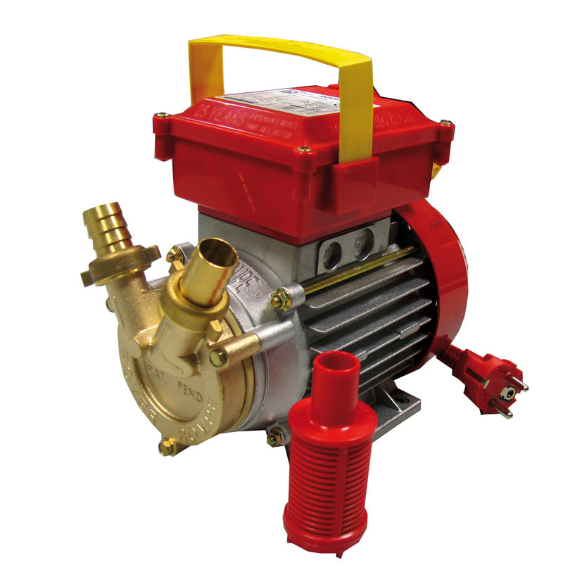 Transfer pump