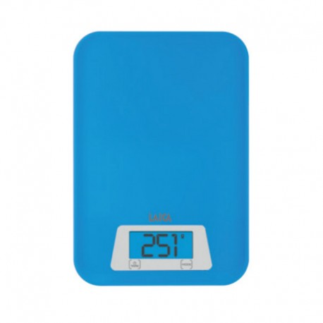 Electronic scale