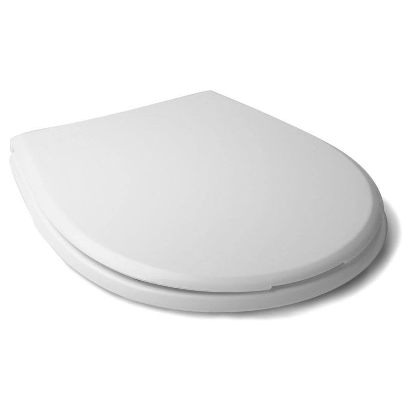 Toilet lid