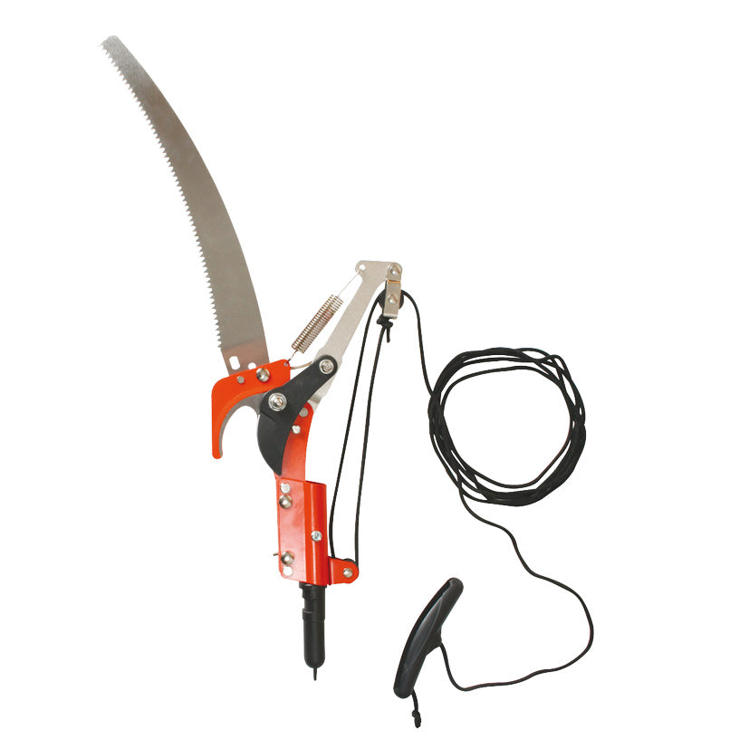 Branch cutter + interchangeable saw