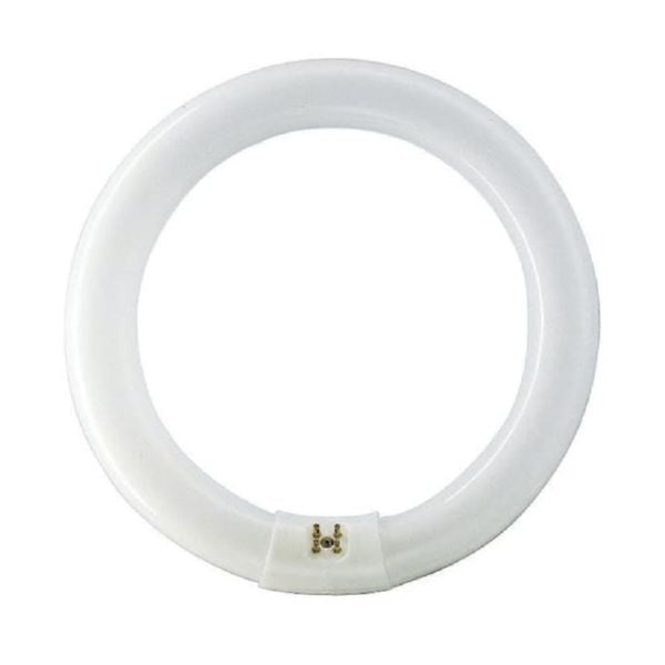 Fluorescent lamp