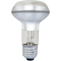 ECO Lamp