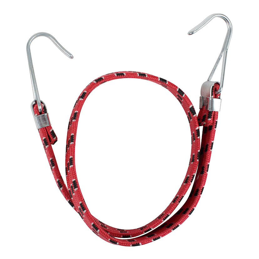 Goma elastica