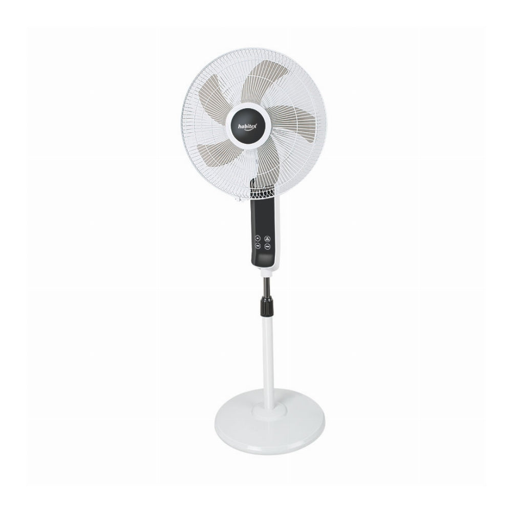 Fan of