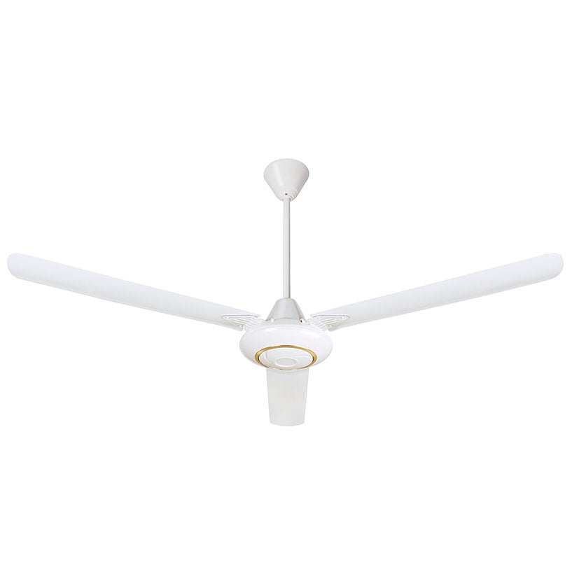 Ventilador techo.