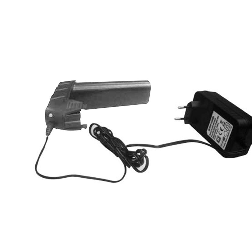 Replacement charger