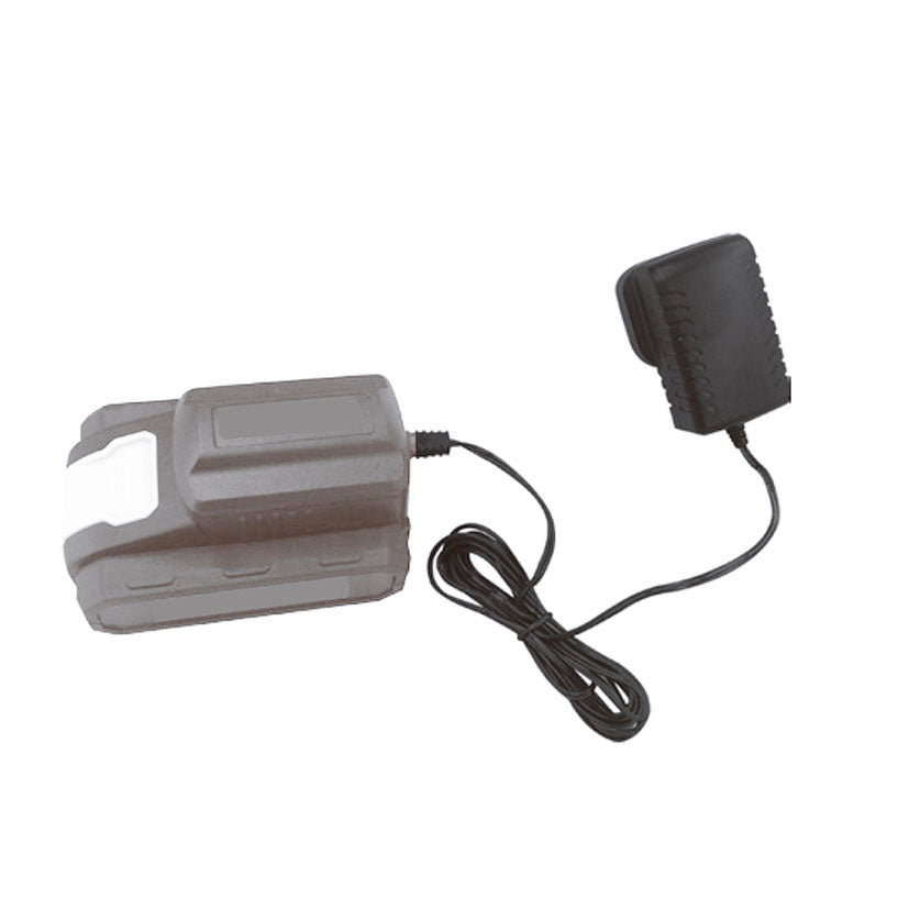 Replacement charger