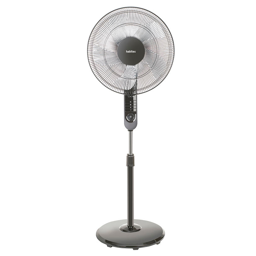 Fan of