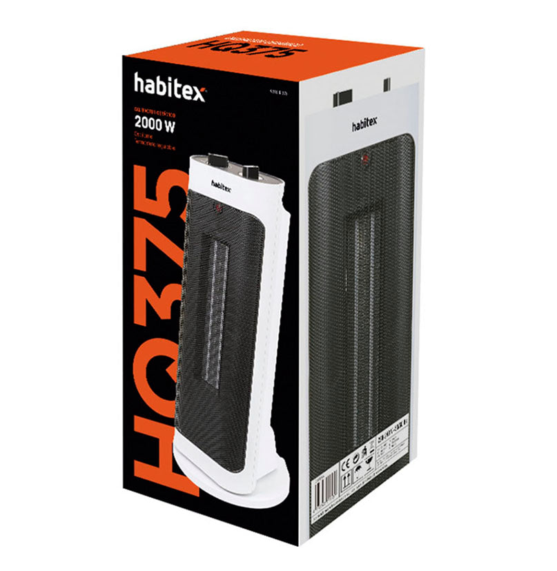 Ceramic heater