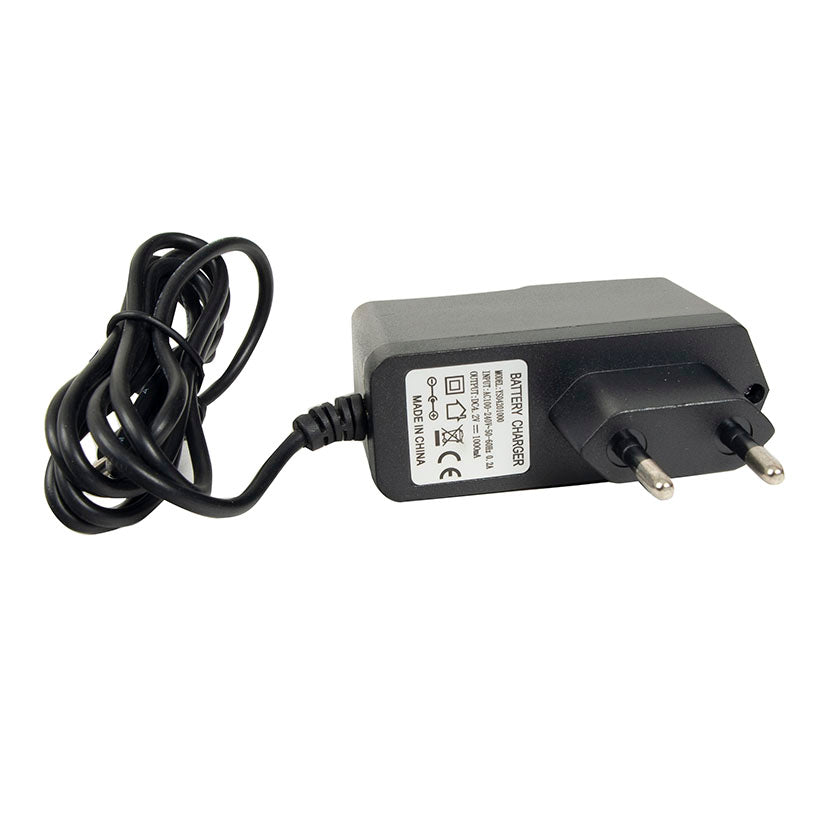 Charger for