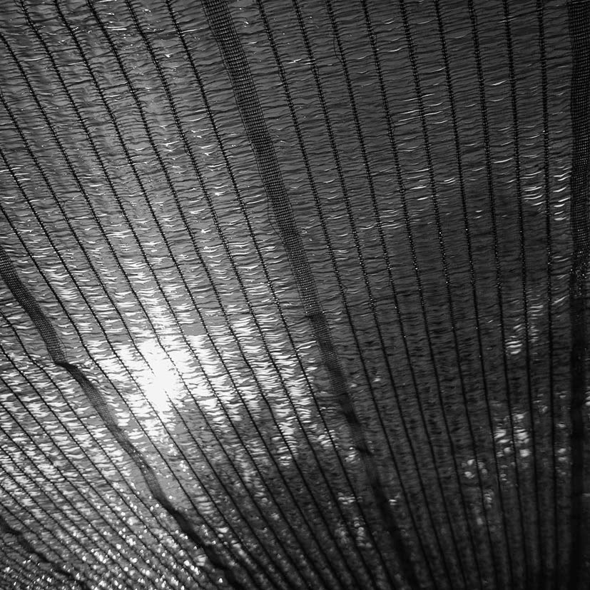 Shade netting