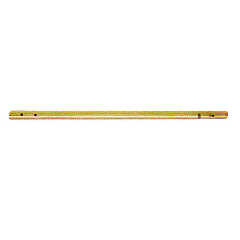 Mast for
