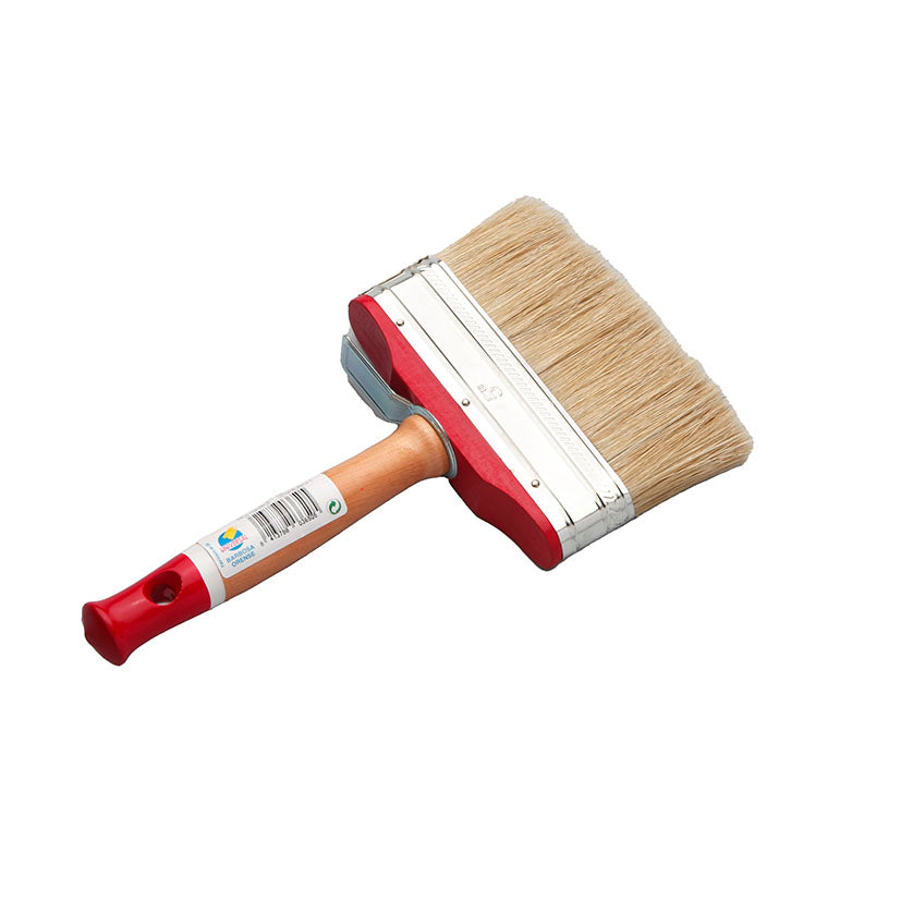 Canarian prickly pear paddle