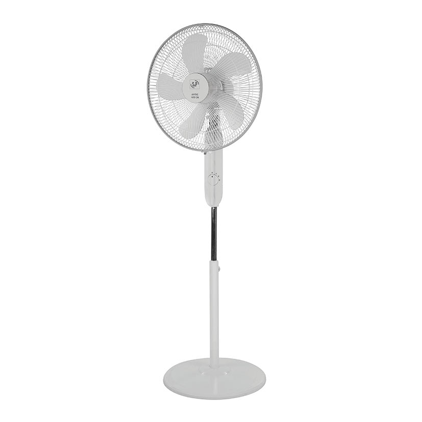Fan of