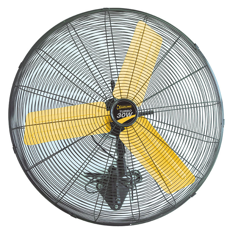 Electric fan