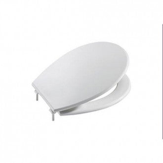 Toilet lid