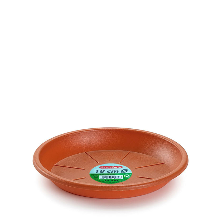 Plastic plate