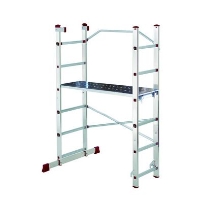 Scaffold ladder