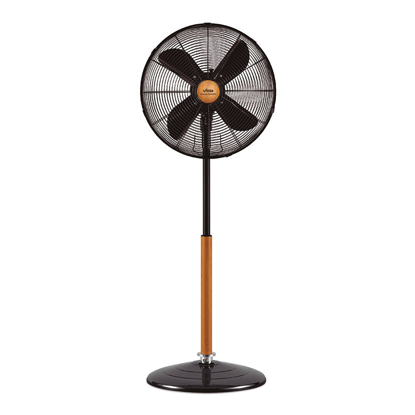 Fan of