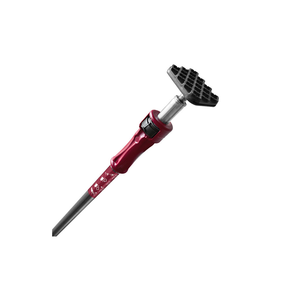 Expansion strut