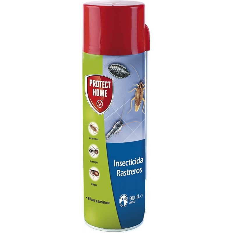 Blattanex insects