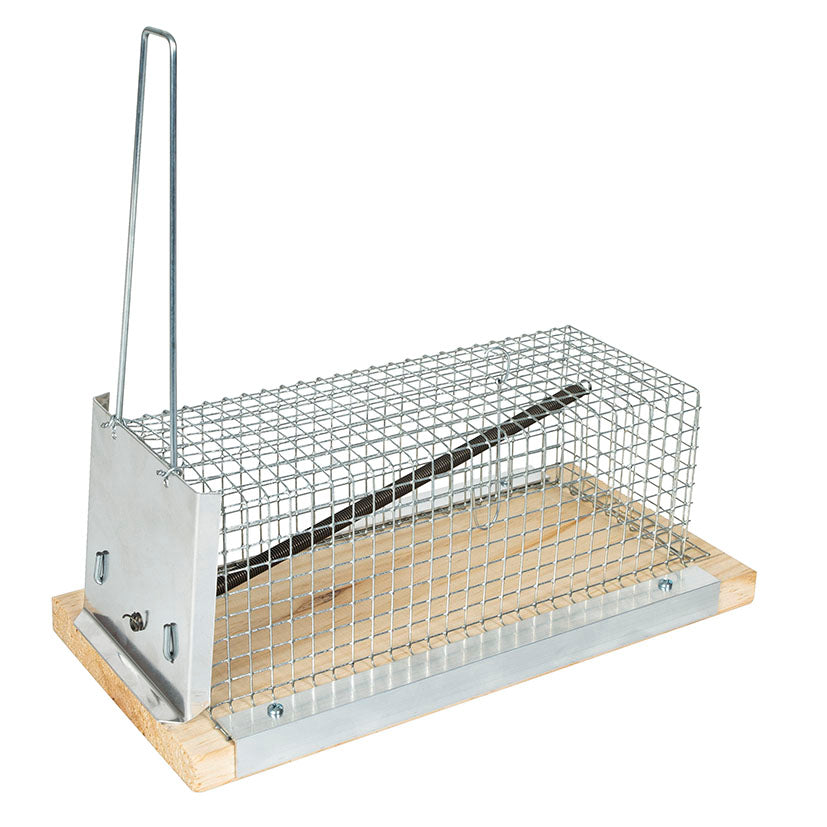 Mousetrap