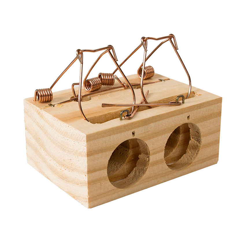 Wooden mousetrap
