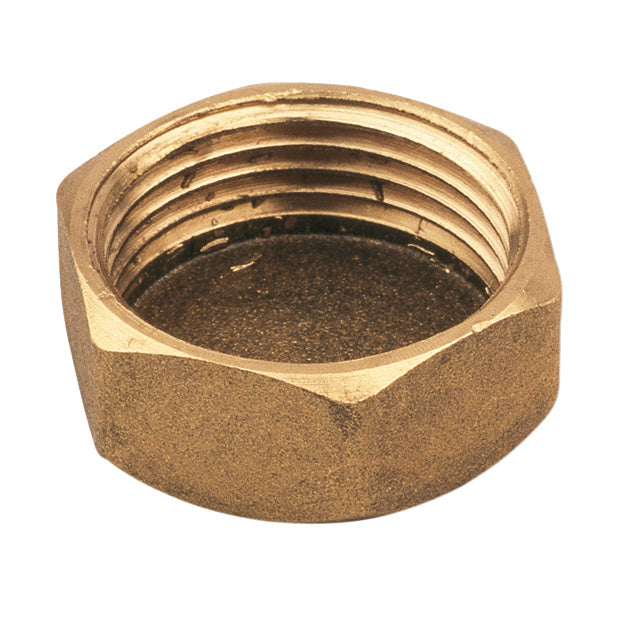 Brass fitting. plug