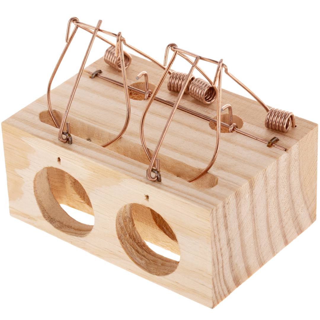 Mousetrap 2