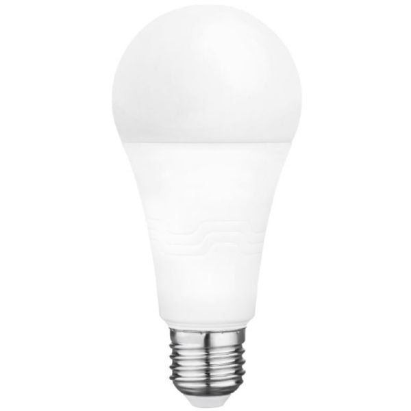 LED light bulb