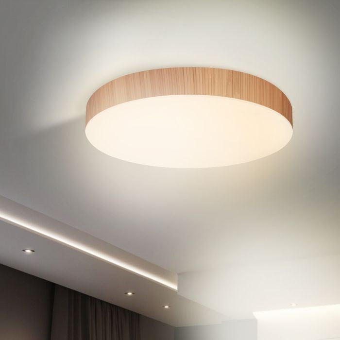 LED ceiling light
