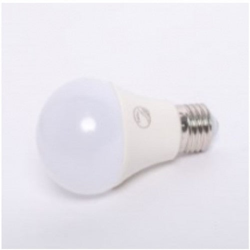 LED Light Bulb