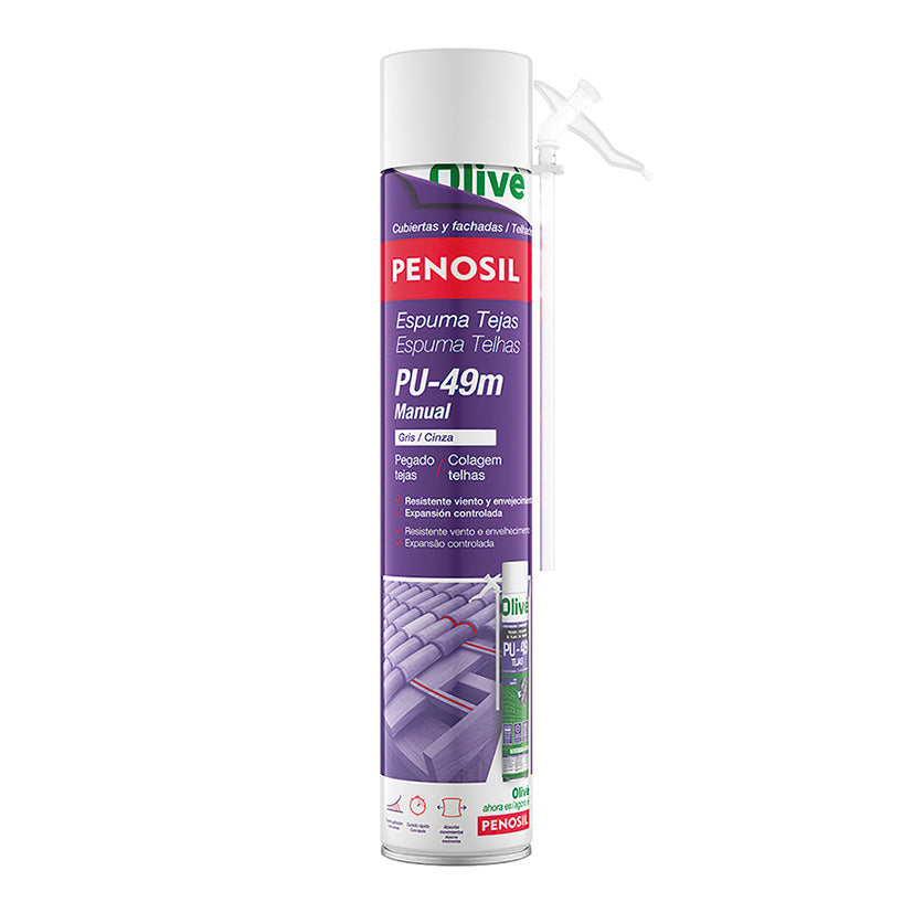 Aerosol foam