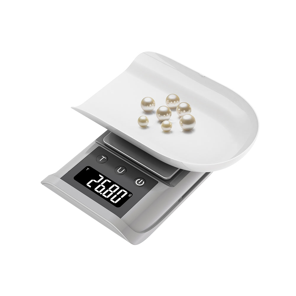 Precision scale