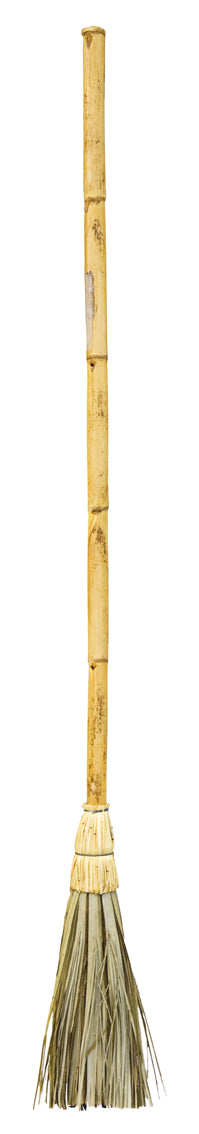 Broom of