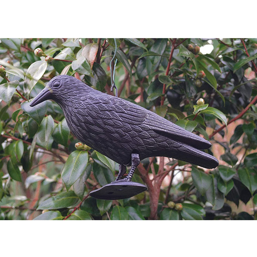 Crow decoy