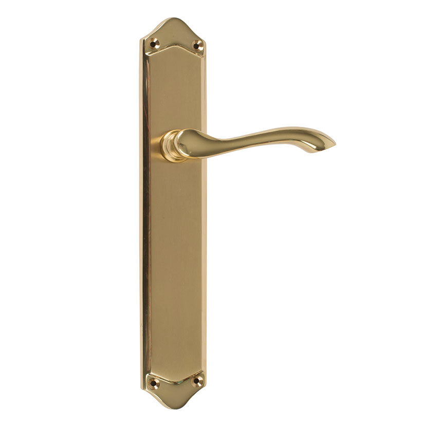 Bioro handle