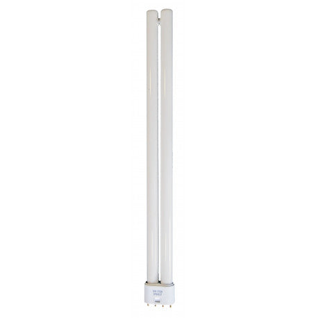 Gemini lamp