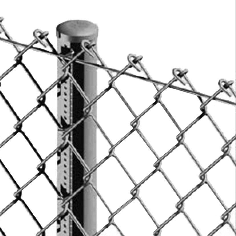 Single mesh