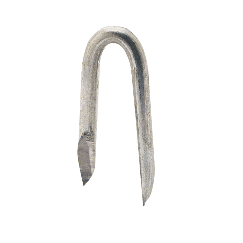 Galvanized staple 19x35mm, pack of 3kg.